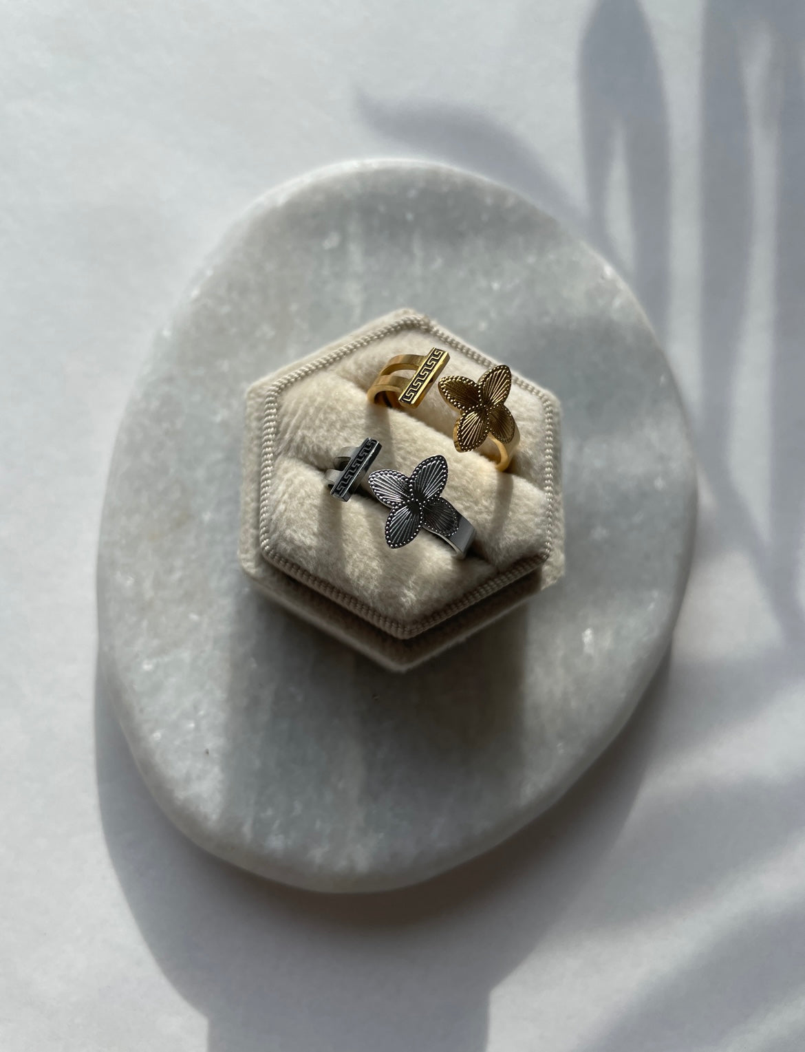 Ring Daily