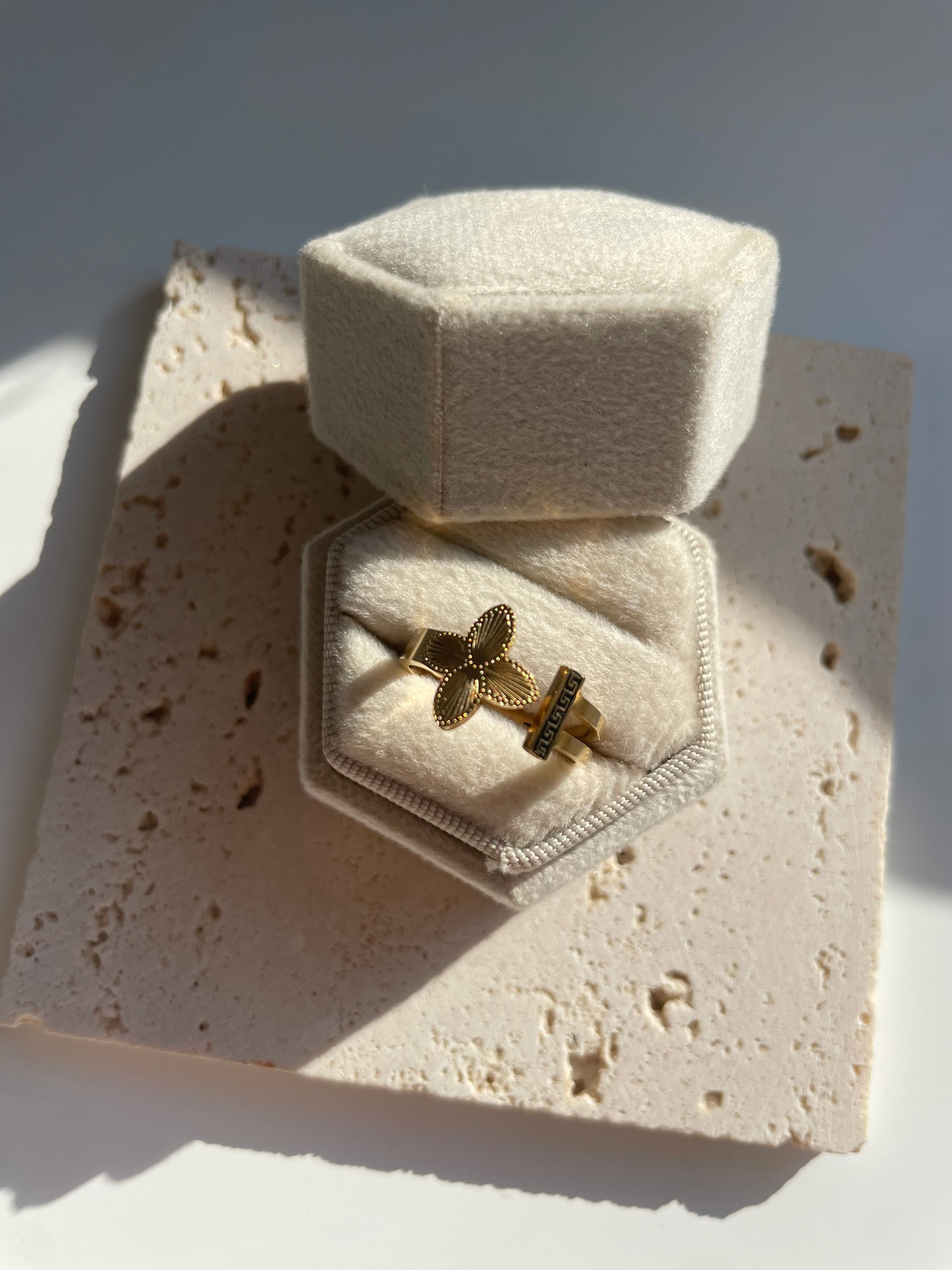 Ring Daily